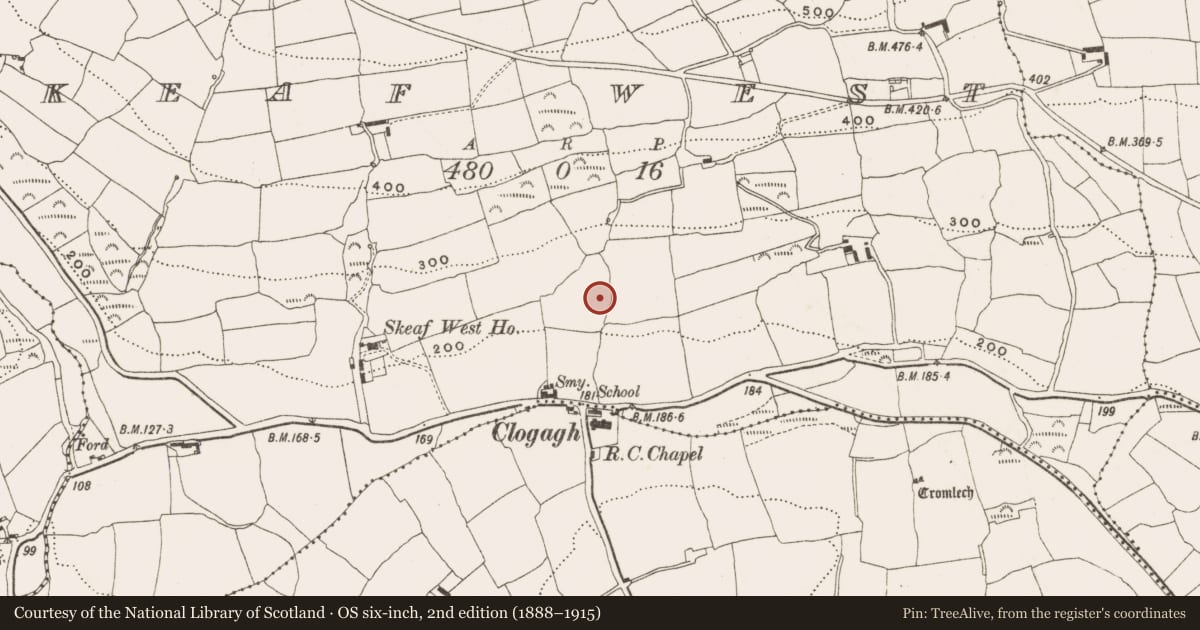 Ordnance Survey six-inch map, 2nd edition (1888–1915) covering the location of Fulacht fia, Skeaf West, County Cork, with a pin at the register's coordinates
