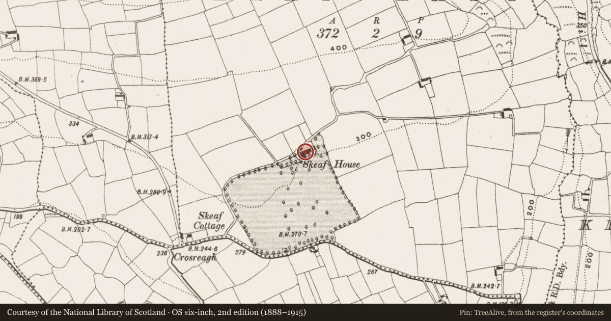 Ordnance Survey six-inch map, 2nd edition (1888–1915) covering the location of Country house, Skeaf East, County Cork, with a pin at the register's coordinates