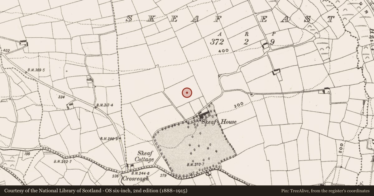 Ordnance Survey six-inch map, 2nd edition (1888–1915) covering the location of Standing stone, Skeaf East, County Cork, with a pin at the register's coordinates