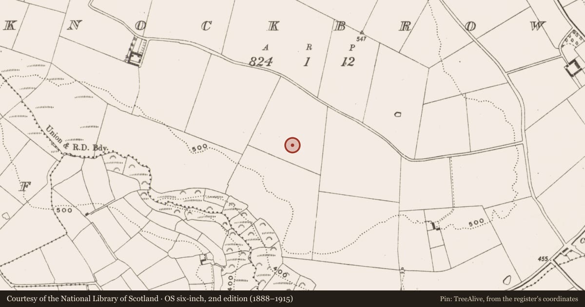 Ordnance Survey six-inch map, 2nd edition (1888–1915) covering the location of Ringfort - rath, Knockbrown, County Cork, with a pin at the register's coordinates