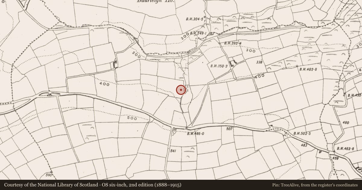 Ordnance Survey six-inch map, 2nd edition (1888–1915) covering the location of Fulacht fia, Garryndruig, County Cork, with a pin at the register's coordinates