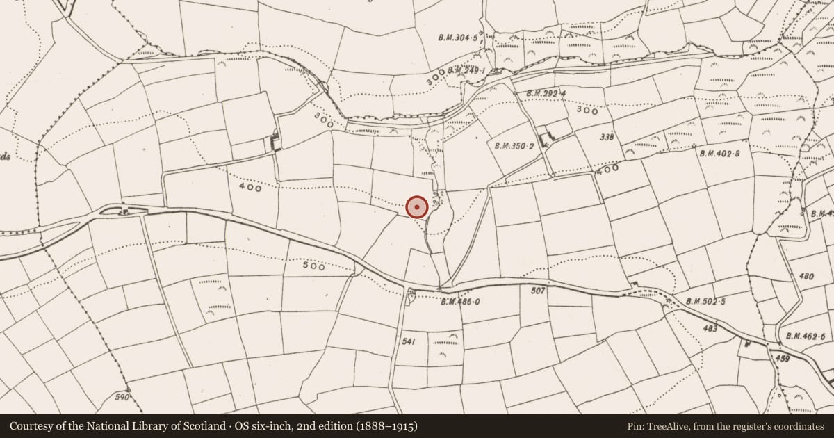 Ordnance Survey six-inch map, 2nd edition (1888–1915) covering the location of Fulacht fia, Garryndruig, County Cork, with a pin at the register's coordinates