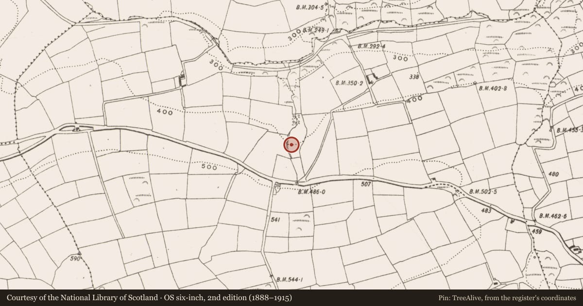 Ordnance Survey six-inch map, 2nd edition (1888–1915) covering the location of Fulacht fia, Garryndruig, County Cork, with a pin at the register's coordinates