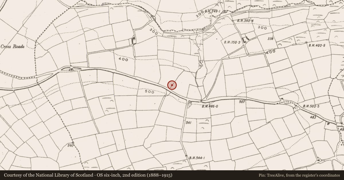 Ordnance Survey six-inch map, 2nd edition (1888–1915) covering the location of Fulacht fia, Garryndruig, County Cork, with a pin at the register's coordinates