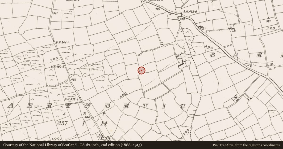 Ordnance Survey six-inch map, 2nd edition (1888–1915) covering the location of Moated site, Garryndruig, County Cork, with a pin at the register's coordinates