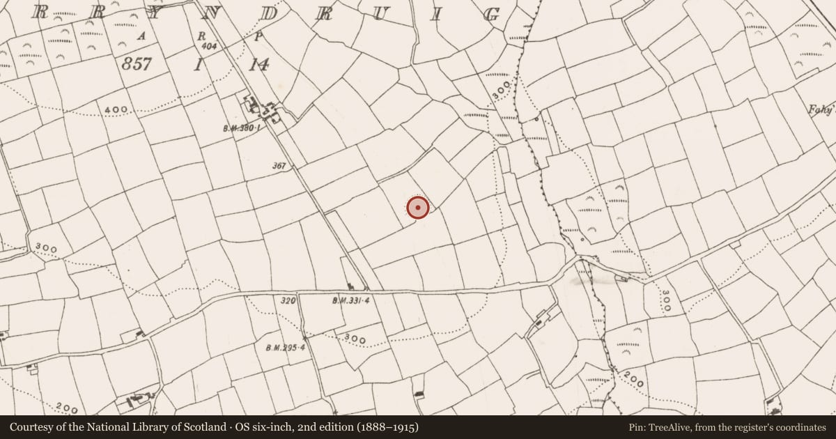 Ordnance Survey six-inch map, 2nd edition (1888–1915) covering the location of Ringfort - rath, Garryndruig, County Cork, with a pin at the register's coordinates