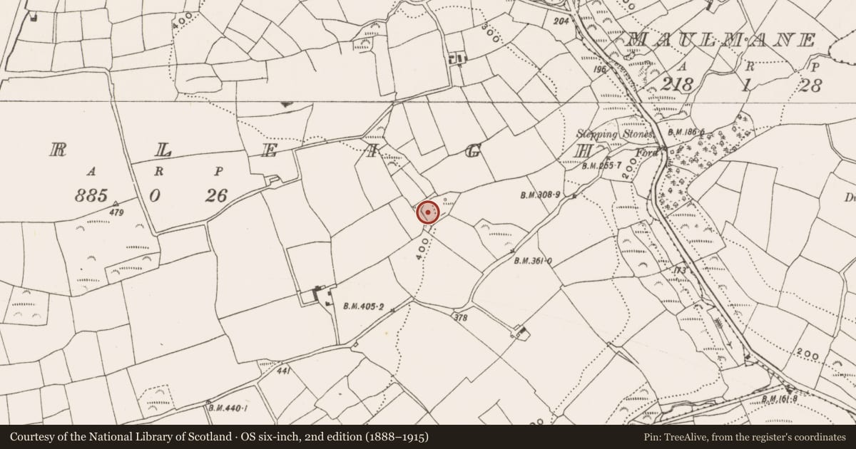 Ordnance Survey six-inch map, 2nd edition (1888–1915) covering the location of Moated site, Baurleigh, County Cork, with a pin at the register's coordinates