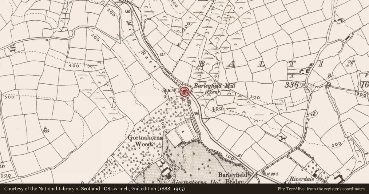 Ordnance Survey six-inch map, 2nd edition (1888–1915) covering the location of Mill - corn, Barleyfield, County Cork, with a pin at the register's coordinates