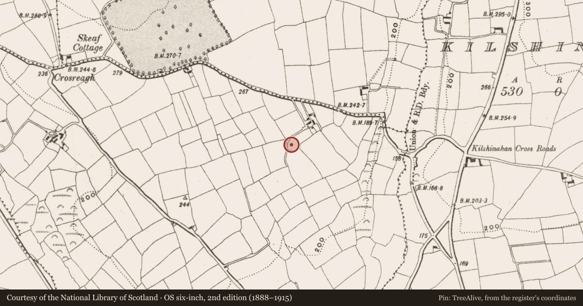 Ordnance Survey six-inch map, 2nd edition (1888–1915) covering the location of Enclosure, Burrane, County Cork, with a pin at the register's coordinates
