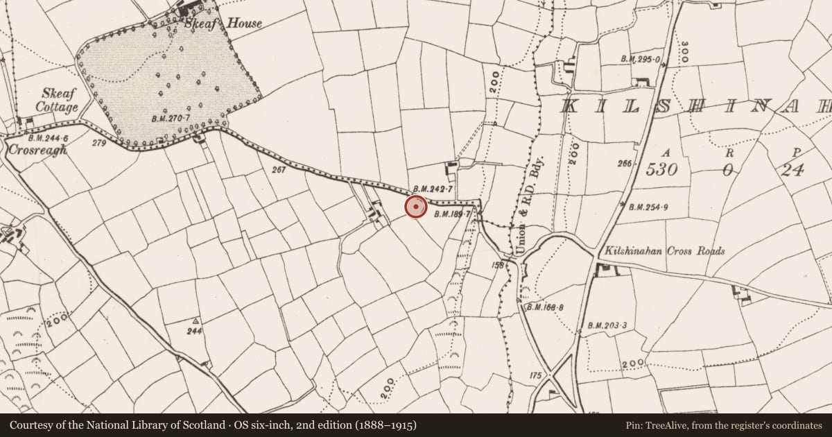 Ordnance Survey six-inch map, 2nd edition (1888–1915) covering the location of Ringfort - rath, Burrane, County Cork, with a pin at the register's coordinates