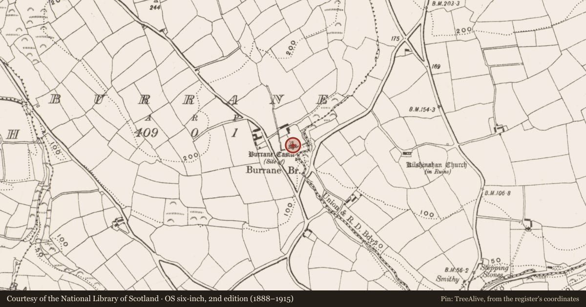 Ordnance Survey six-inch map, 2nd edition (1888–1915) covering the location of Castle - unclassified, Burrane, County Cork, with a pin at the register's coordinates