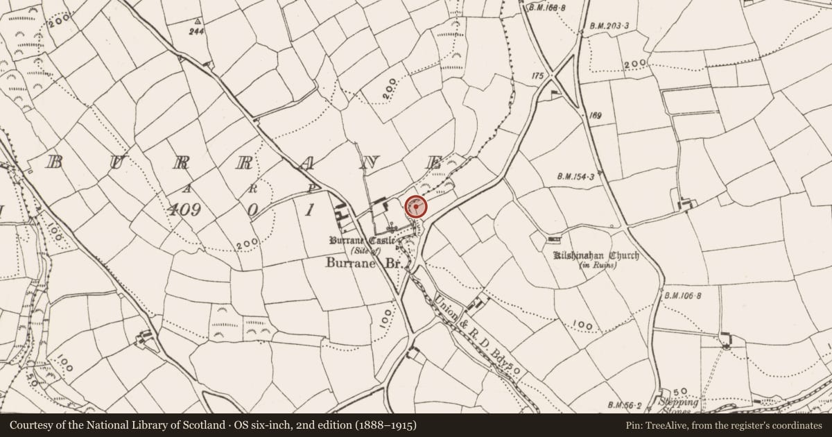 Ordnance Survey six-inch map, 2nd edition (1888–1915) covering the location of Mass-rock, Kilshinahan, County Cork, with a pin at the register's coordinates