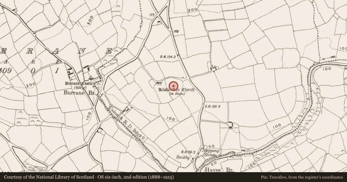 Ordnance Survey six-inch map, 2nd edition (1888–1915) covering the location of Graveyard, Kilshinahan, County Cork, with a pin at the register's coordinates