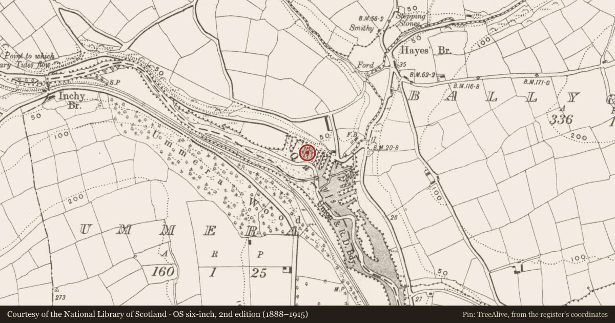 Ordnance Survey six-inch map, 2nd edition (1888–1915) covering the location of Quay, Burrane, County Cork, with a pin at the register's coordinates