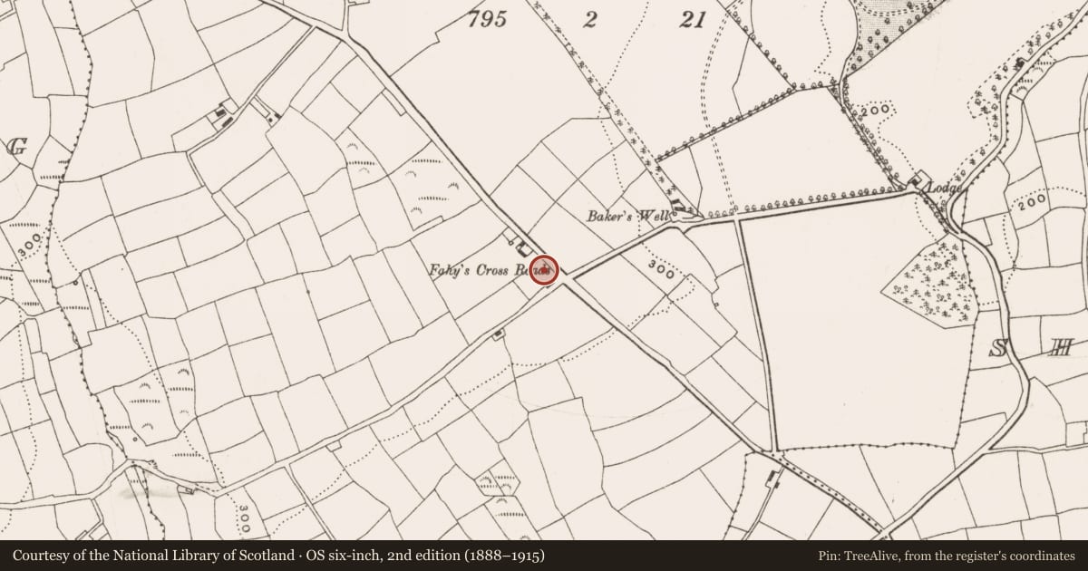 Ordnance Survey six-inch map, 2nd edition (1888–1915) covering the location of Church, Barleyfield, County Cork, with a pin at the register's coordinates