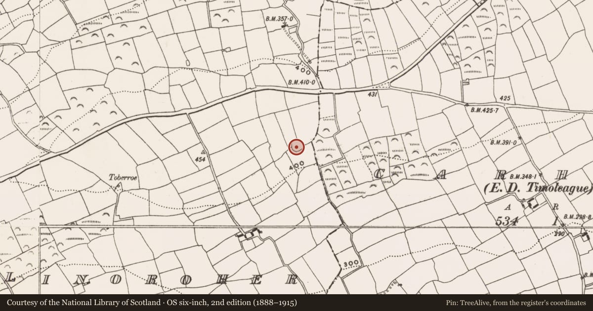 Ordnance Survey six-inch map, 2nd edition (1888–1915) covering the location of Ringfort - rath, Ballinoroher (Carbery E. By., Templequinlan Par.), County Cork, with a pin at the register's coordinates