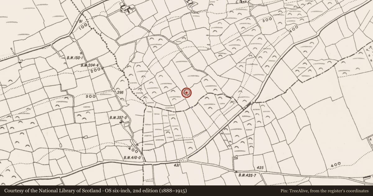 Ordnance Survey six-inch map, 2nd edition (1888–1915) covering the location of Ringfort - rath, Killavarrig, County Cork, with a pin at the register's coordinates