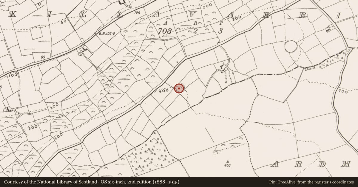 Ordnance Survey six-inch map, 2nd edition (1888–1915) covering the location of Ringfort - rath, Killavarrig, County Cork, with a pin at the register's coordinates