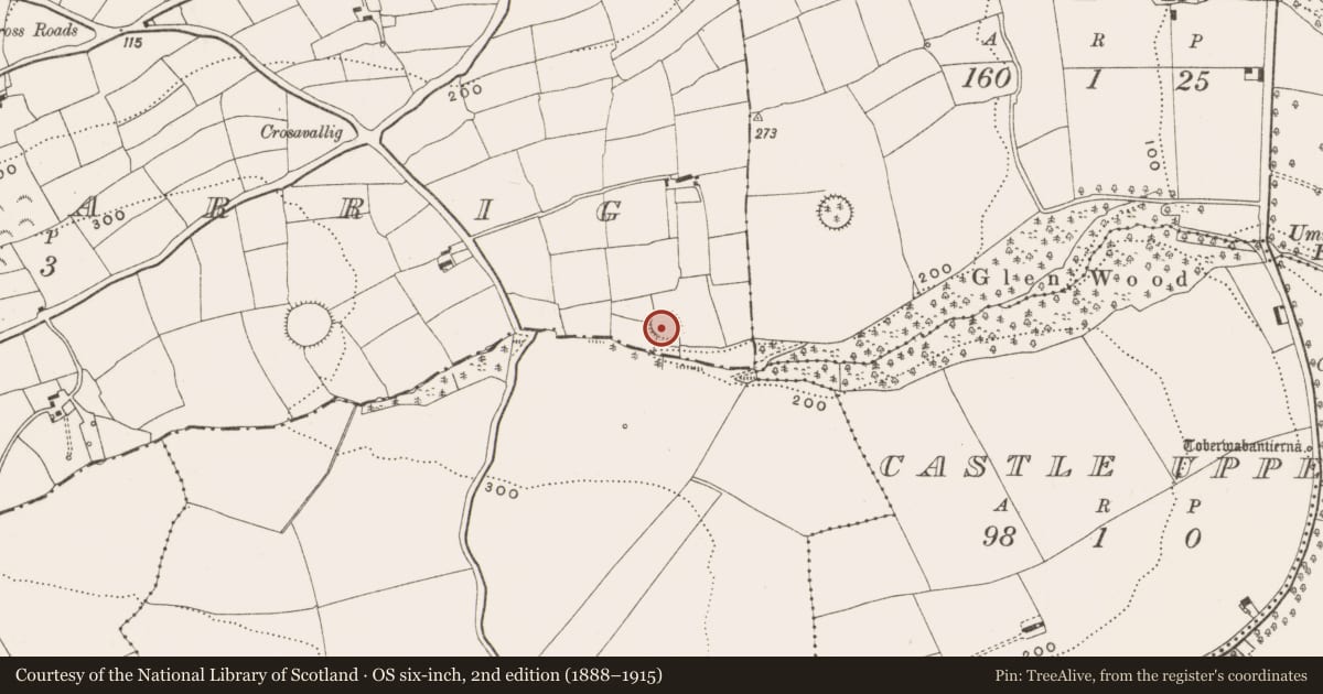 Ordnance Survey six-inch map, 2nd edition (1888–1915) covering the location of Ringfort - rath, Killavarrig, County Cork, with a pin at the register's coordinates