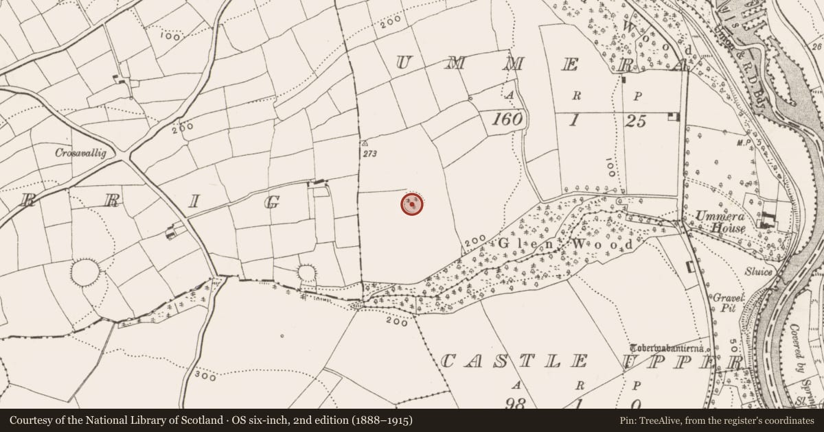 Ordnance Survey six-inch map, 2nd edition (1888–1915) covering the location of Ringfort - rath, Ummera, County Cork, with a pin at the register's coordinates