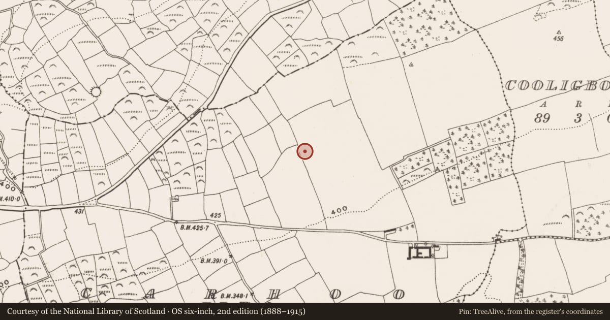 Ordnance Survey six-inch map, 2nd edition (1888–1915) covering the location of Enclosure, Carhoo (Ibane and Barryroe By., Timoleague Par.), County Cork, with a pin at the register's coordinates