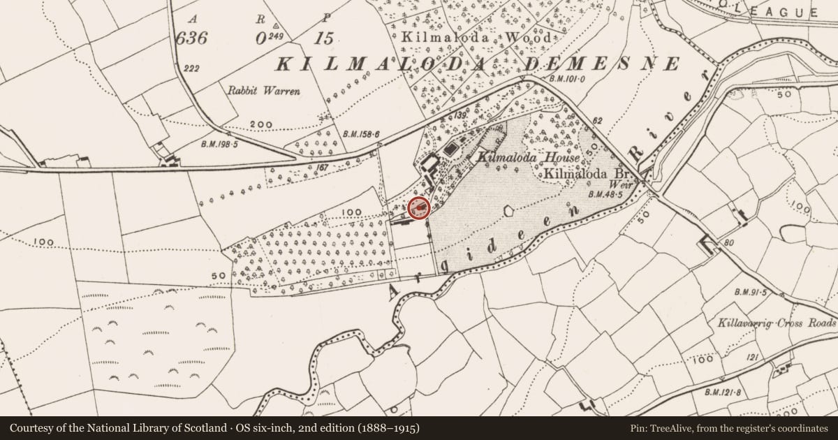 Ordnance Survey six-inch map, 2nd edition (1888–1915) covering the location of Mill - unclassified, Kilmaloda, County Cork, with a pin at the register's coordinates