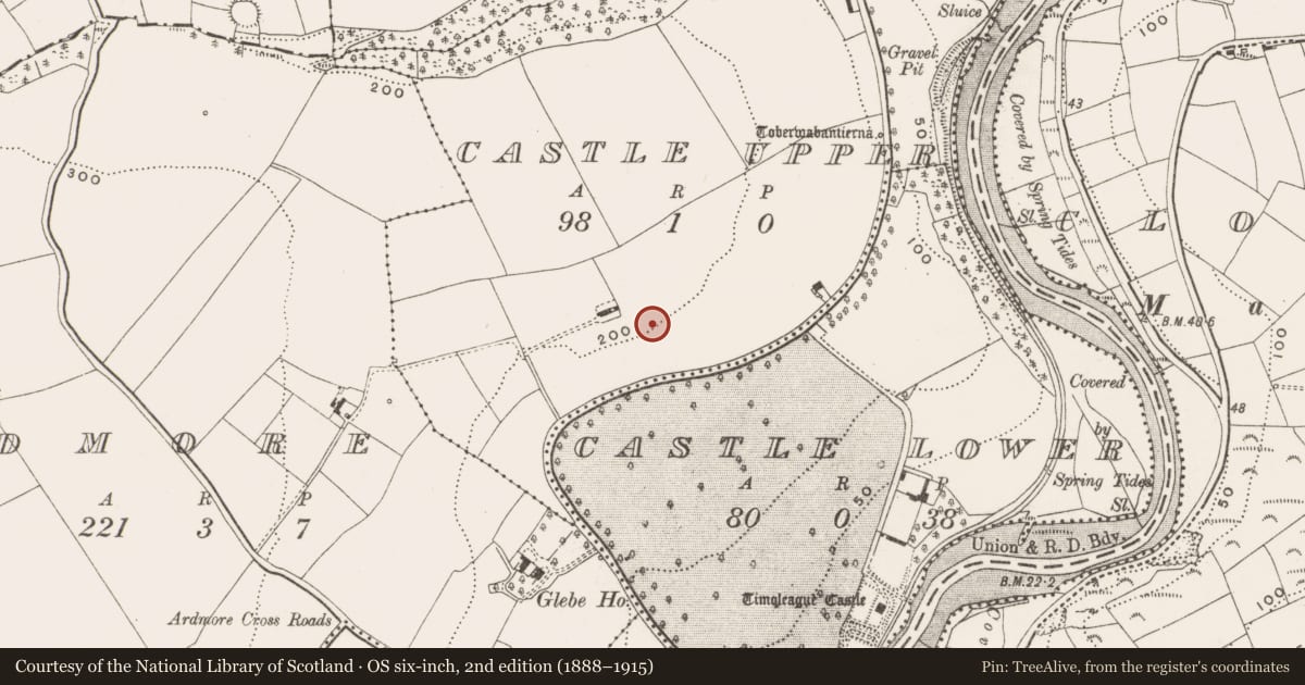 Ordnance Survey six-inch map, 2nd edition (1888–1915) covering the location of Ringfort - rath, Castle Upper, County Cork, with a pin at the register's coordinates