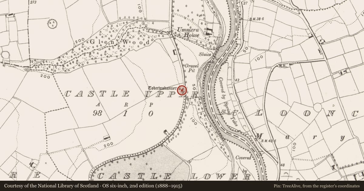 Ordnance Survey six-inch map, 2nd edition (1888–1915) covering the location of Ritual site - holy well, Castle Upper, County Cork, with a pin at the register's coordinates