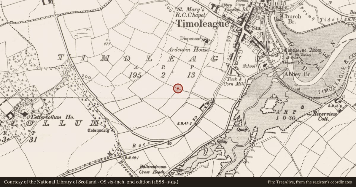 Ordnance Survey six-inch map, 2nd edition (1888–1915) covering the location of Quarry, Timoleague, County Cork, with a pin at the register's coordinates