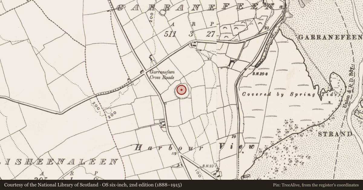 Ordnance Survey six-inch map, 2nd edition (1888–1915) covering the location of Enclosure, Garranefeen, County Cork, with a pin at the register's coordinates