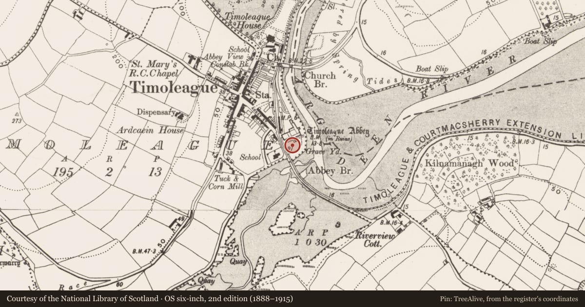 Ordnance Survey six-inch map, 2nd edition (1888–1915) covering the location of Graveyard, Timoleague, County Cork, with a pin at the register's coordinates