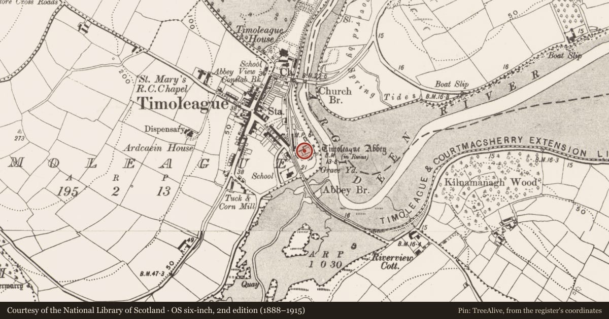 Ordnance Survey six-inch map, 2nd edition (1888–1915) covering the location of Religious house - Franciscan friars, Timoleague, County Cork, with a pin at the register's coordinates
