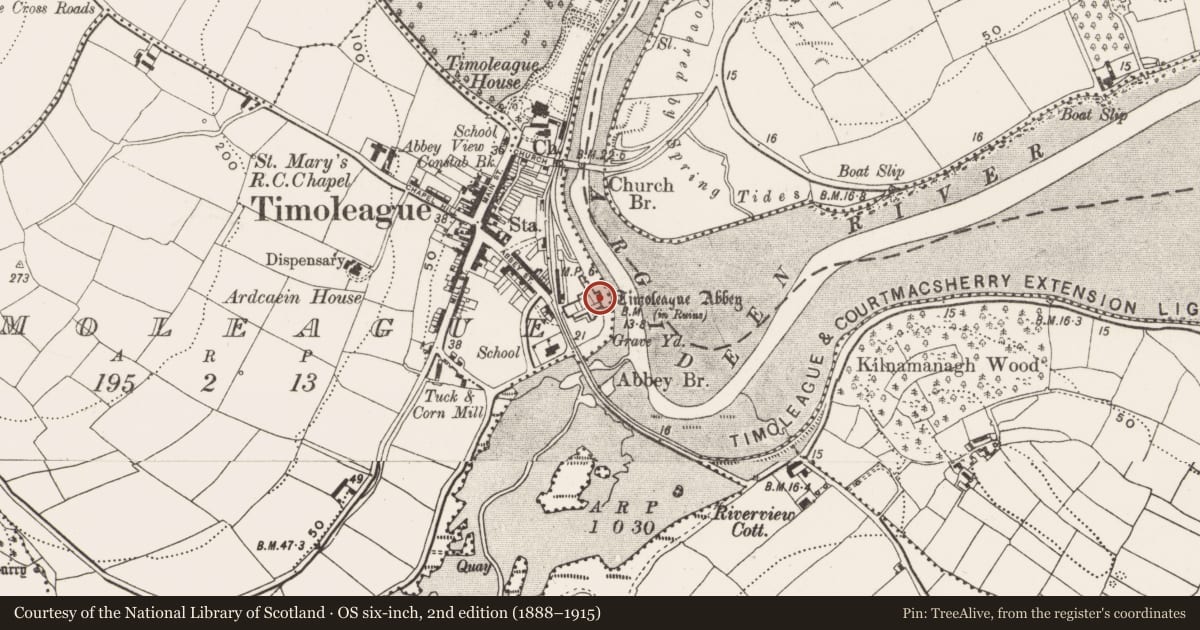 Ordnance Survey six-inch map, 2nd edition (1888–1915) covering the location of Bullaun stone, Timoleague, County Cork, with a pin at the register's coordinates