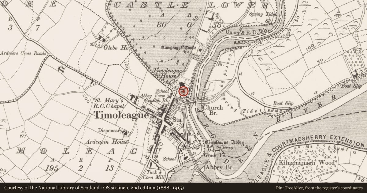 Ordnance Survey six-inch map, 2nd edition (1888–1915) covering the location of Church, Castle Lower, County Cork, with a pin at the register's coordinates