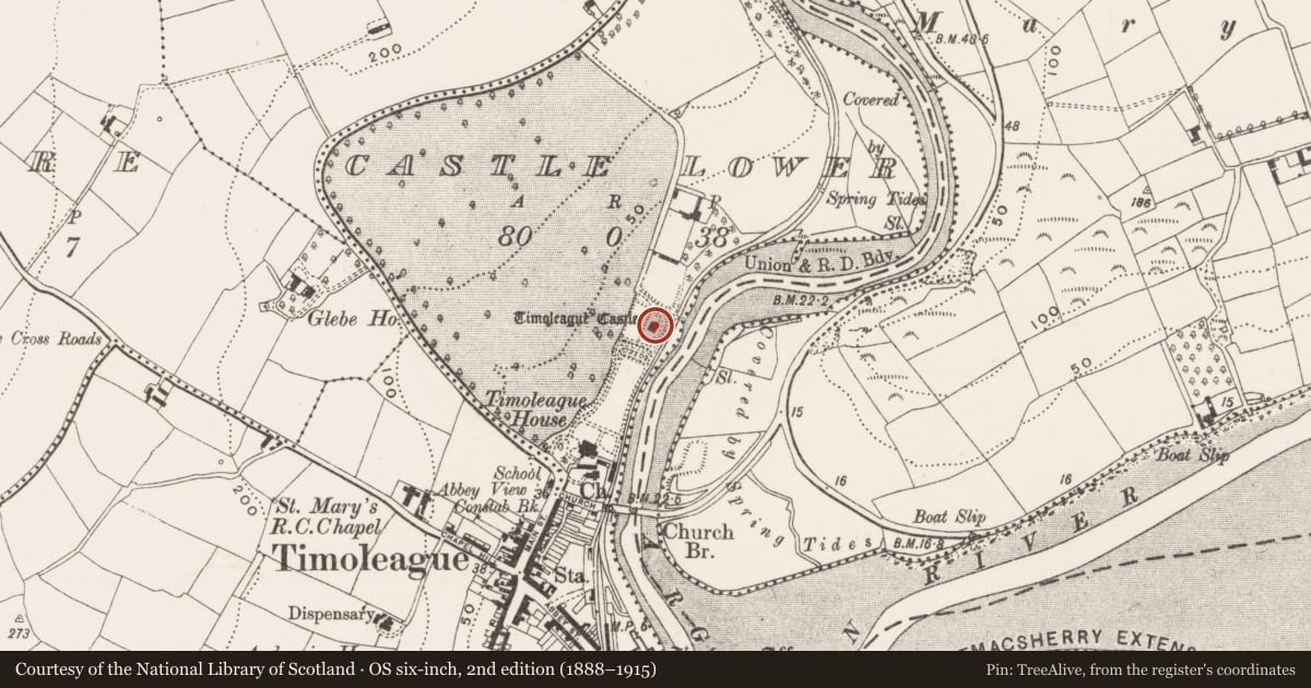 Ordnance Survey six-inch map, 2nd edition (1888–1915) covering the location of Castle - tower house, Castle Lower, County Cork, with a pin at the register's coordinates