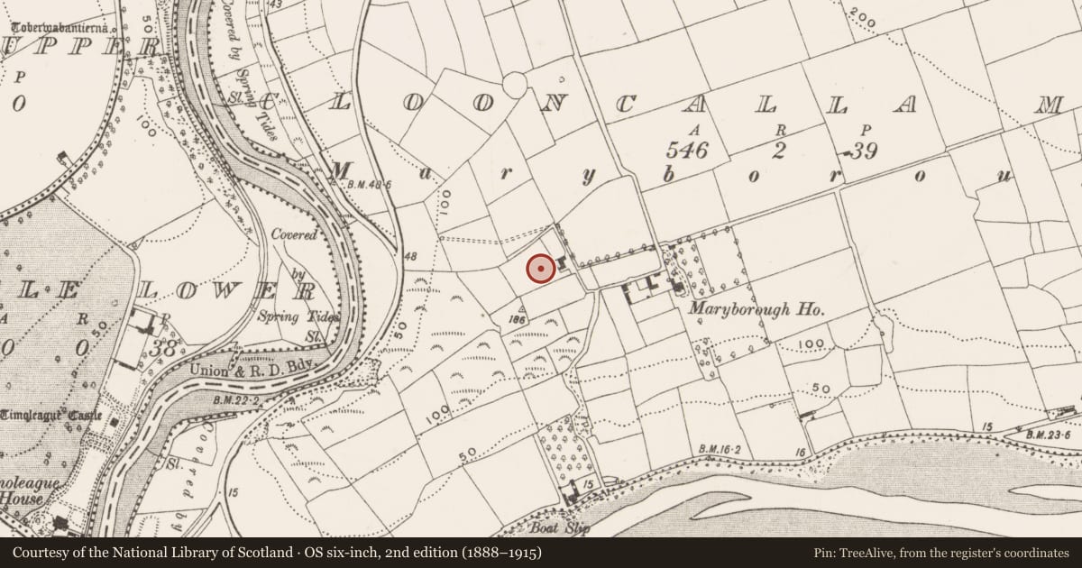 Ordnance Survey six-inch map, 2nd edition (1888–1915) covering the location of Slab-lined burial, Clooncalla More, County Cork, with a pin at the register's coordinates