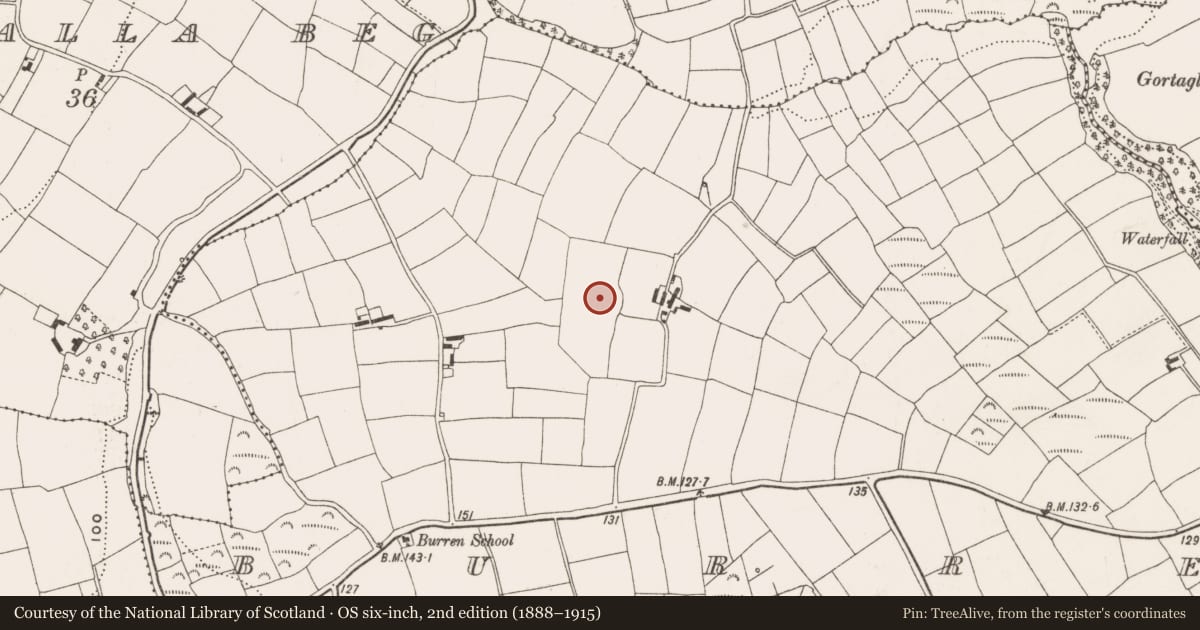 Ordnance Survey six-inch map, 2nd edition (1888–1915) covering the location of Enclosure, Burren, County Cork, with a pin at the register's coordinates