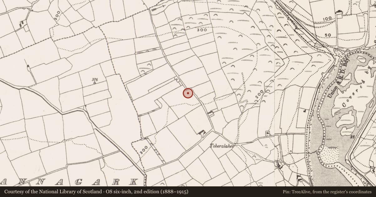 Ordnance Survey six-inch map, 2nd edition (1888–1915) covering the location of Ringfort - rath, Garranefeen, County Cork, with a pin at the register's coordinates