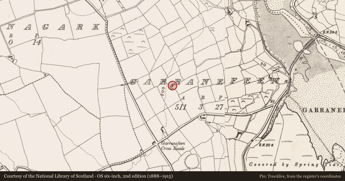 Ordnance Survey six-inch map, 2nd edition (1888–1915) covering the location of Ringfort - rath, Garranefeen, County Cork, with a pin at the register's coordinates