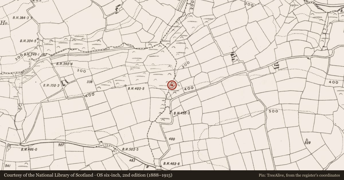 Ordnance Survey six-inch map, 2nd edition (1888–1915) covering the location of Mass-rock, Barleyfield, County Cork, with a pin at the register's coordinates