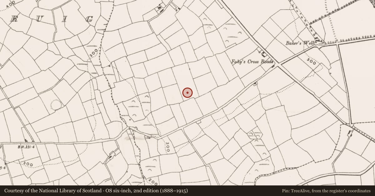 Ordnance Survey six-inch map, 2nd edition (1888–1915) covering the location of Standing stone, Barleyfield, County Cork, with a pin at the register's coordinates