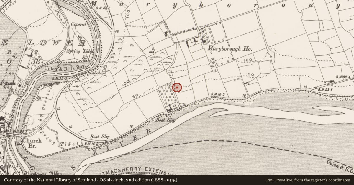 Ordnance Survey six-inch map, 2nd edition (1888–1915) covering the location of Kiln - lime, Clooncalla More, County Cork, with a pin at the register's coordinates