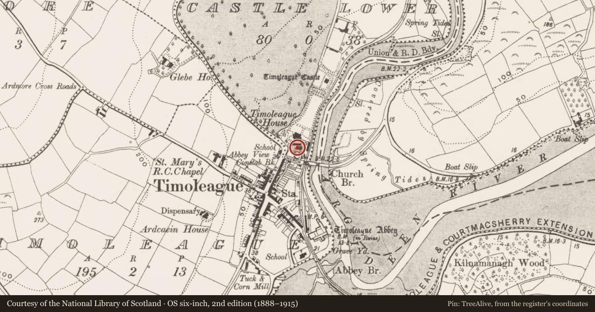 Ordnance Survey six-inch map, 2nd edition (1888–1915) covering the location of Graveyard, Castle Lower, County Cork, with a pin at the register's coordinates