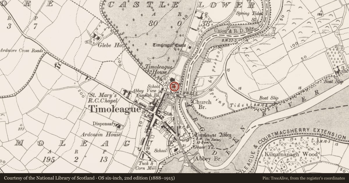 Ordnance Survey six-inch map, 2nd edition (1888–1915) covering the location of Church, Castle Lower, County Cork, with a pin at the register's coordinates