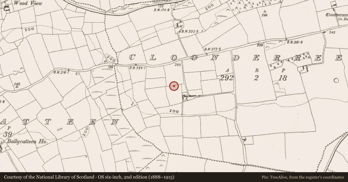 Ordnance Survey six-inch map, 2nd edition (1888–1915) covering the location of Burial, Cloonderreen, County Cork, with a pin at the register's coordinates