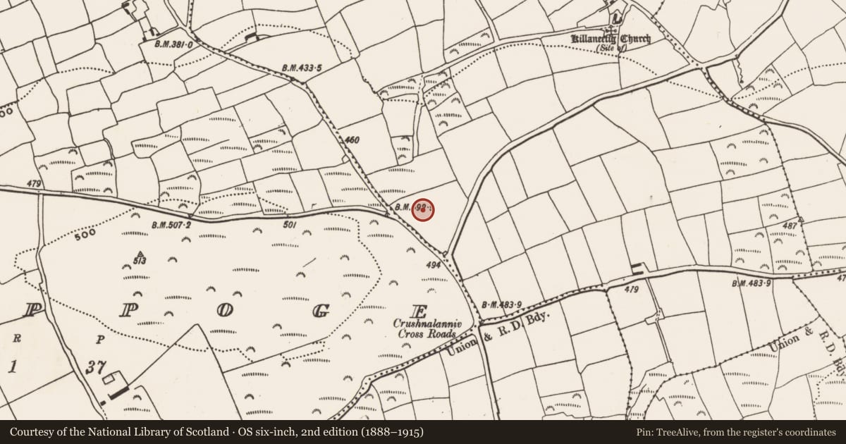 Ordnance Survey six-inch map, 2nd edition (1888–1915) covering the location of Earthwork, Killaneetig, County Cork, with a pin at the register's coordinates