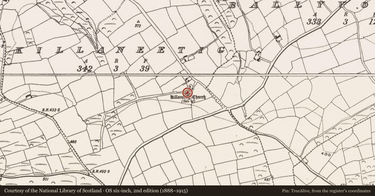 Ordnance Survey six-inch map, 2nd edition (1888–1915) covering the location of Church, Killaneetig, County Cork, with a pin at the register's coordinates