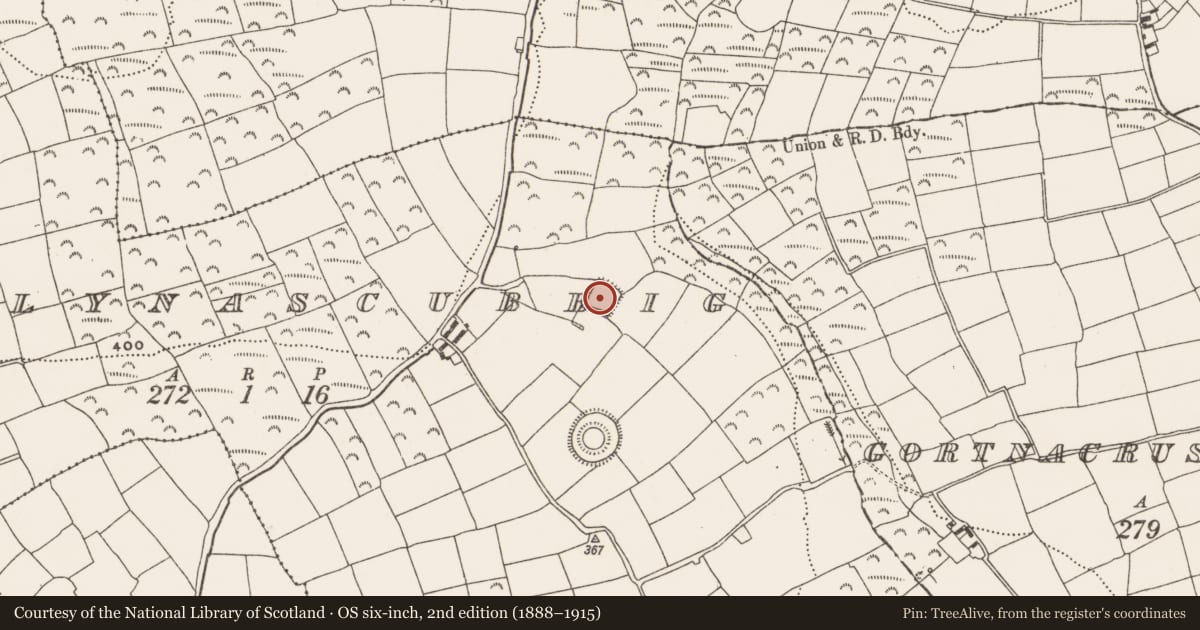 Ordnance Survey six-inch map, 2nd edition (1888–1915) covering the location of Moated site, Ballynascubbig, County Cork, with a pin at the register's coordinates