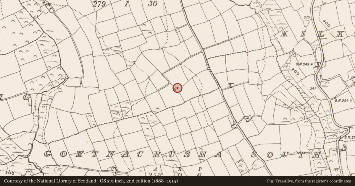 Ordnance Survey six-inch map, 2nd edition (1888–1915) covering the location of Souterrain, Gortnacrusha North, County Cork, with a pin at the register's coordinates
