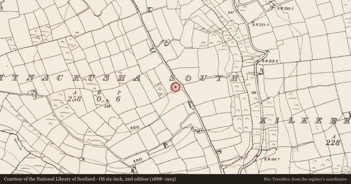 Ordnance Survey six-inch map, 2nd edition (1888–1915) covering the location of Ringfort - rath, Gortnacrusha South, County Cork, with a pin at the register's coordinates